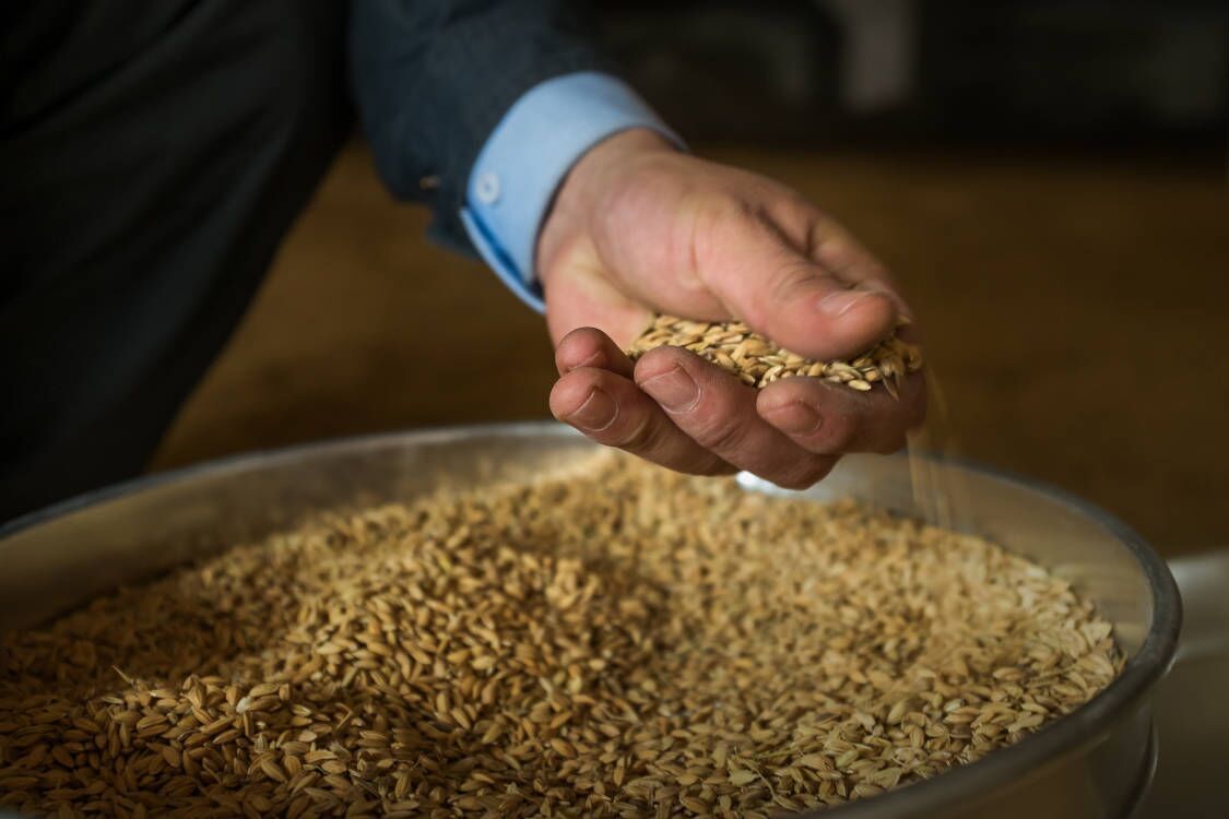 Inspur Haiyue Grain Depot Construction and Electromechanical Integration Solutions-Inspur
