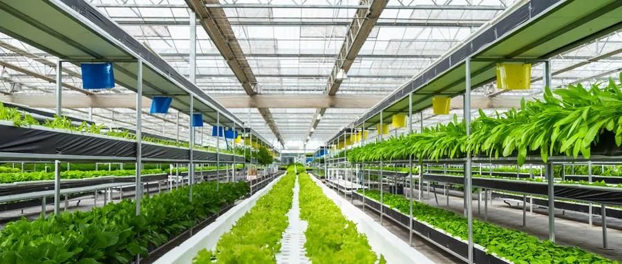 微信图片_20210219102733